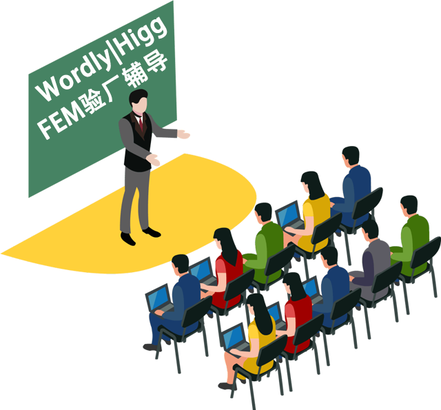 2024年报告年度，FEM验厂只验证Level 1部分，不验证Higg FEM Level 2与Level 3的内容