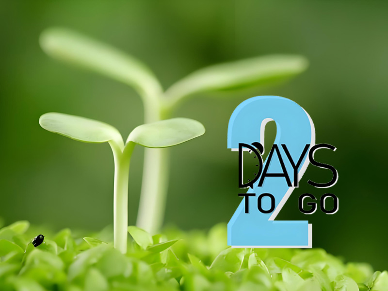 Higg FEM验厂人天数的强制性规定